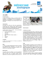 le-lapin (1).pdf